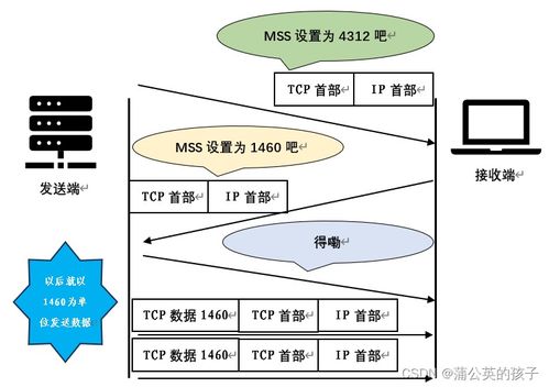计算机网络技术服务 支撑数字时代的无形支柱